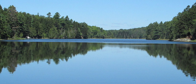 Maine waters
